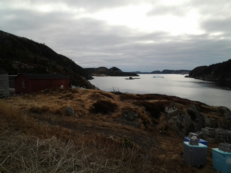 20150510_180909.jpg image